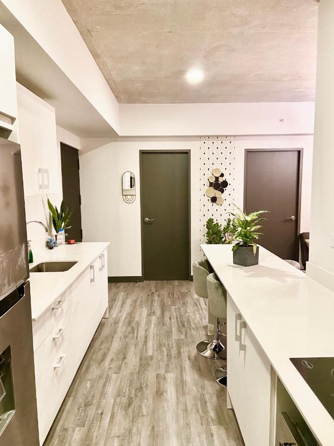סן חוזה Comodo Y Elegante Apartamento En Fabuloso Condo! מראה חיצוני תמונה